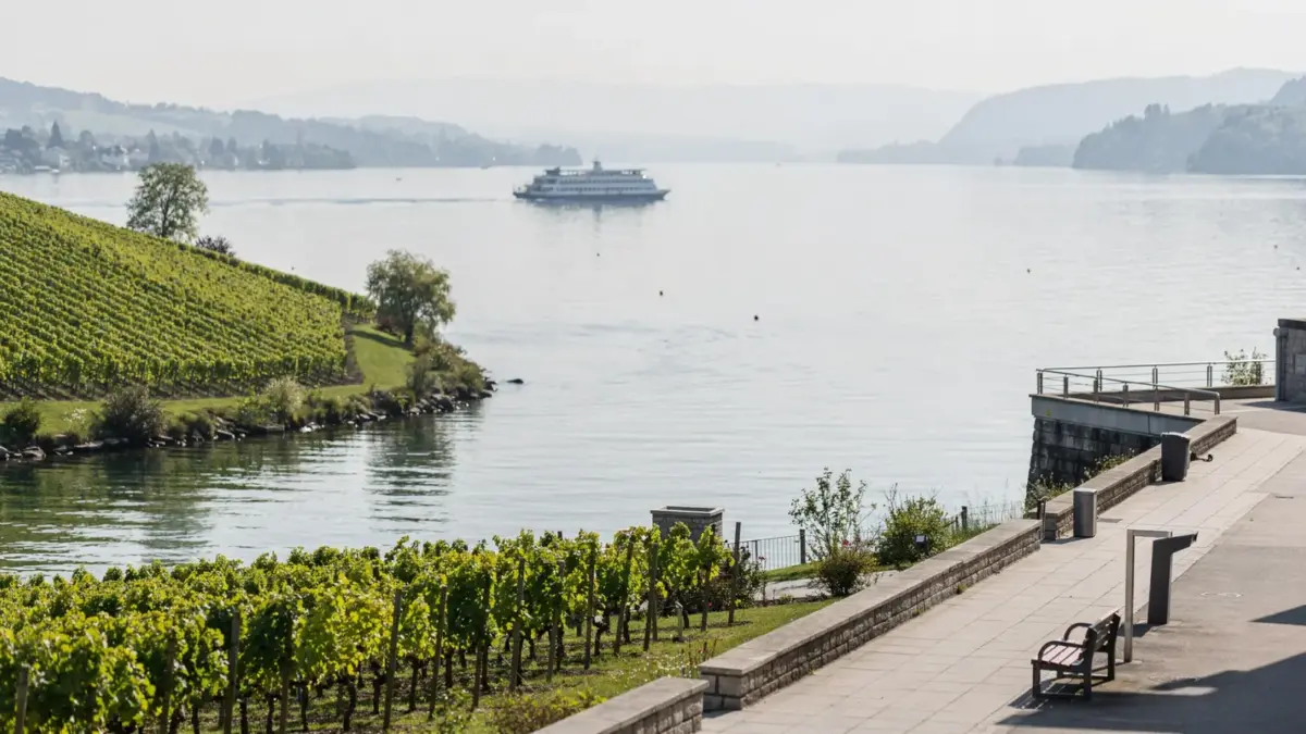 Bodensee mit Nordufer und Südufer als landschaftlicher Vergleich