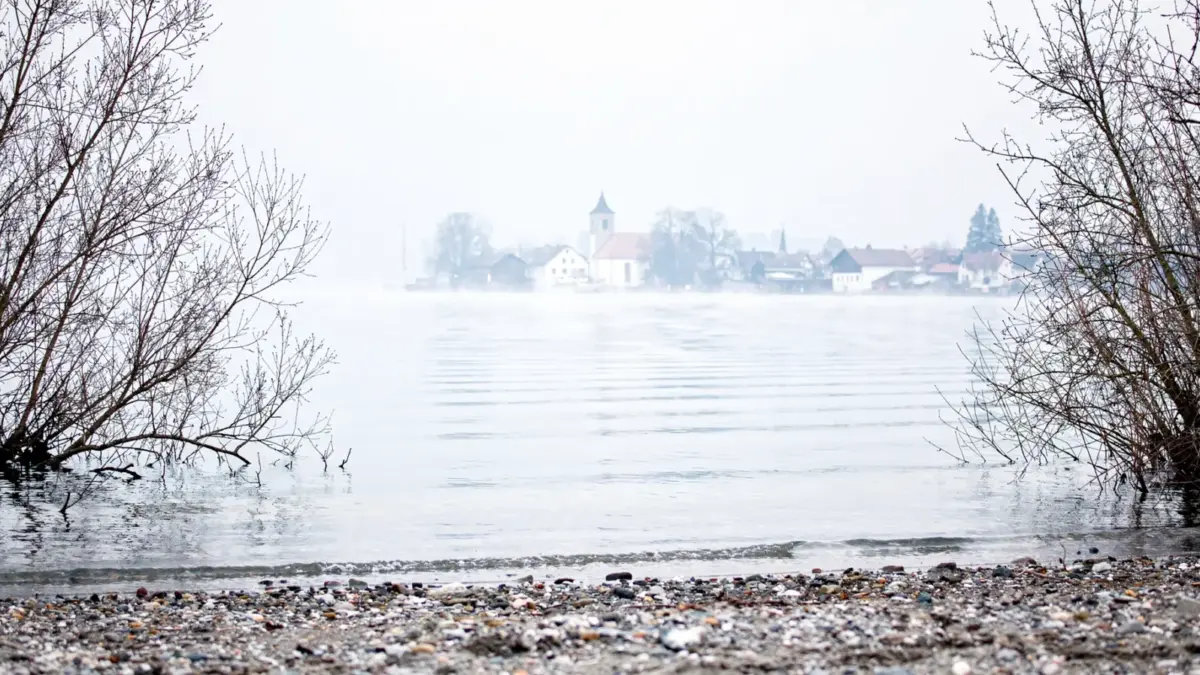 Winter am Bodensee mit ruhigem Seeufer, Nebel und kahler Uferlandschaft für Wetter, Orte und Planung