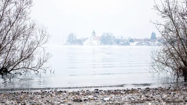 Winter am Bodensee mit ruhigem Seeufer, Nebel und kahler Uferlandschaft für Wetter, Orte und Planung