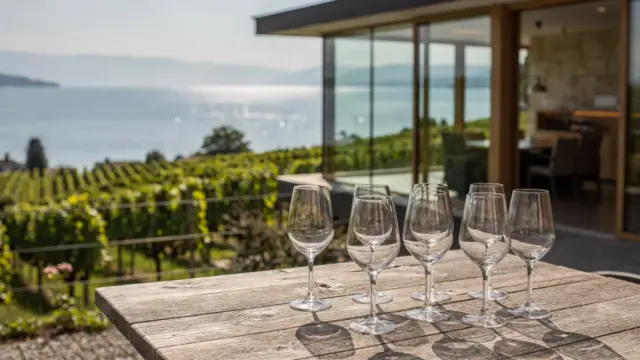 Weingut am Bodensee mit Weinreben und gedecktem Tisch zur Weinprobe