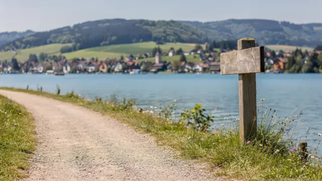 Wanderweg am Bodensee mit See, Hügeln und Wegweiser als Ausgangspunkt fürs Wandern