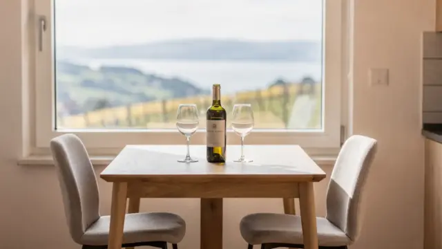 Ferienwohnung am Bodensee mit Blick auf Weinberge und See für eine Weinreise